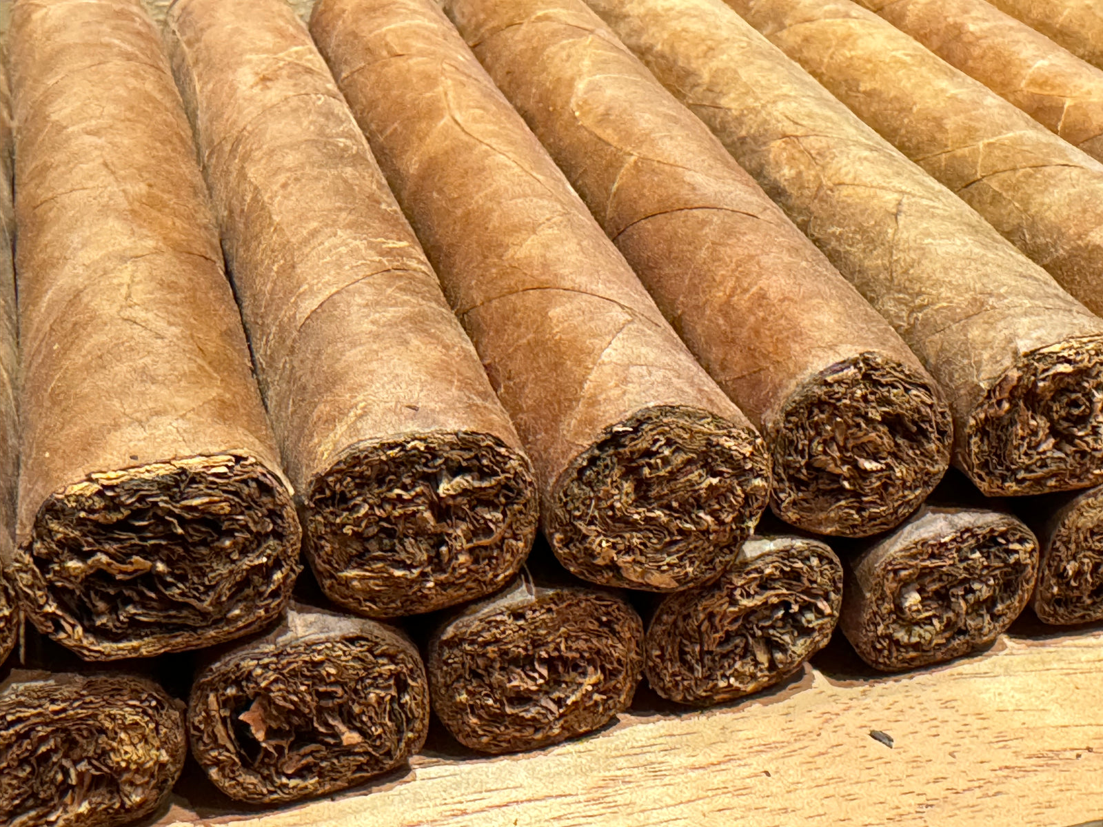 Kacur Reserve Nicaraguan Cigars - Sungrown (Medium) Wrapper - Full Box